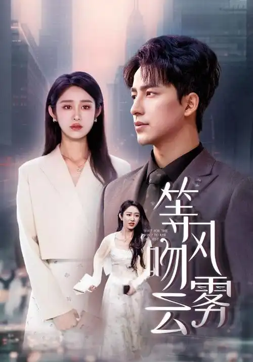热播电视剧全集《长夜回声》高清在线观看